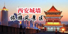 .cn.com./.大鸡巴爽:嫩逼中国陕西-西安城墙旅游风景区